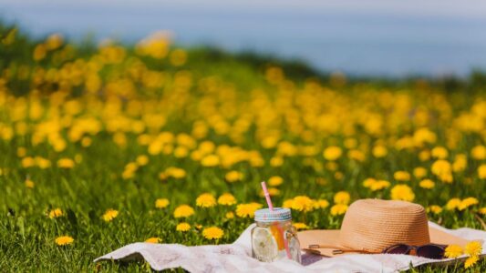 Najlepsze promocje na majówkę – gdzie szukać okazji?